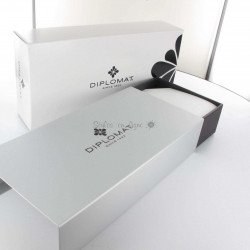 Stylo Roller Diplomat® Excellence A Oxyd Iron