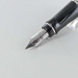 Bloc Plume de Rechange Acier "Expert" WATERMAN® pour stylos plumes "Expert" (Médium)
