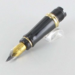 Bloc Plume de Rechange Doré Or "Expert" WATERMAN® pour stylos plumes "Expert" (Médium)