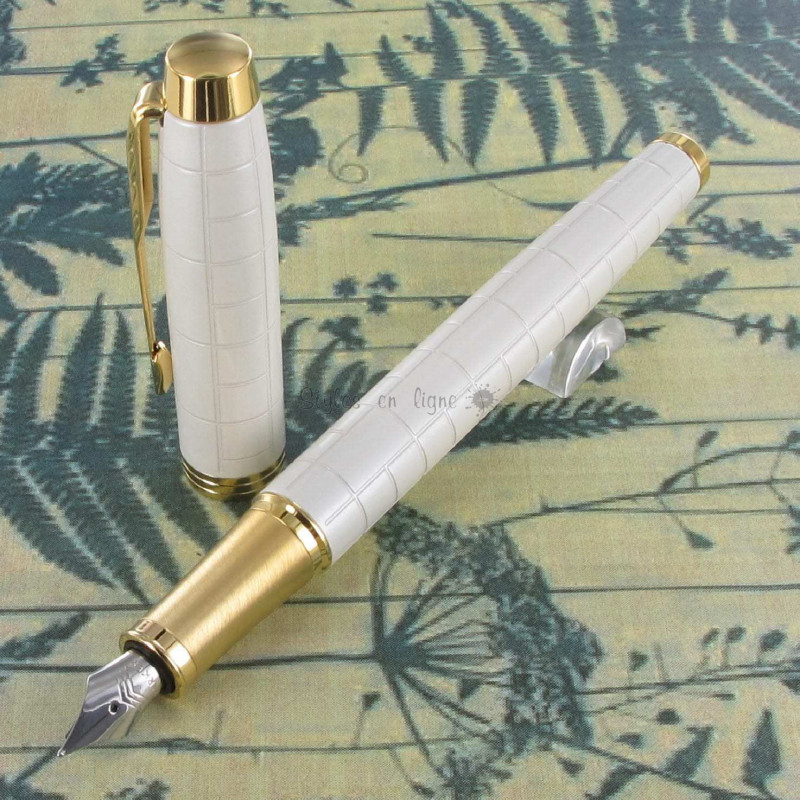 Cartouche Waterman Standard Longue pour stylo plume