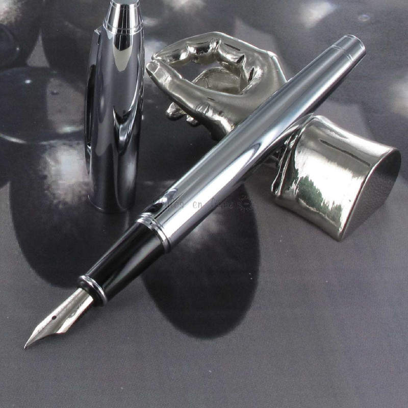 Waterman Expert stylo plume  noir brillant avec attributs dorés à