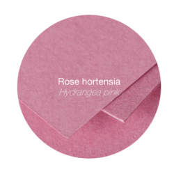 20 Enveloppes Pollen 90x140mm Adhésives Rose Hortensia