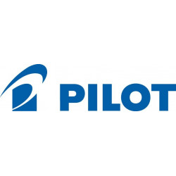 Bloc Plume (Fin) Argent 18 K pour Stylos plumes Capless de Pilot®
