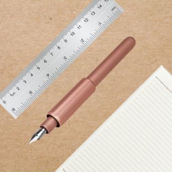 Monteverde Axis Champagne MV52153 en situation